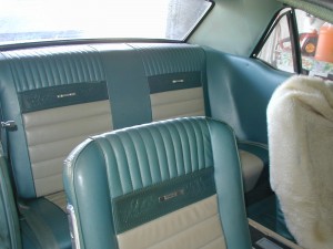 2mustangbackseat-2010